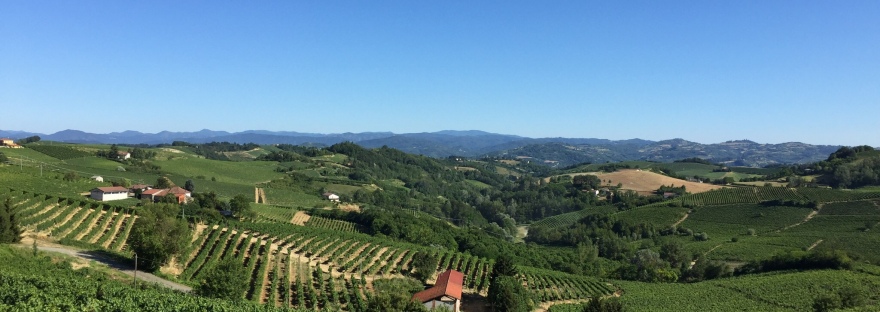 Beautiful views over the vines of Monferrato close to our Bnb